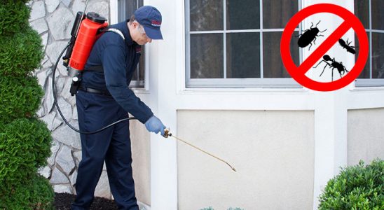 Selçuklu Böcek İlaçlama böcek ilaçlama ve haşere kontrolü — ilaclama-tr.com